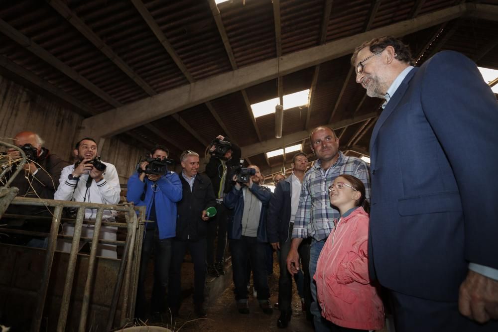 Visita de Mariano Rajoy a una ganadería en Gozón (Asturias)