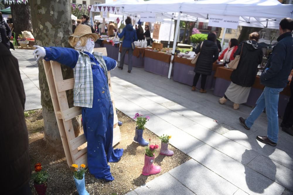 Mercado ecológico en la plaza de España