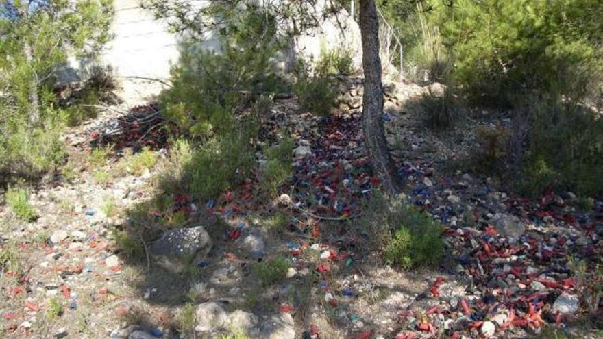 Las fundas de los cartuchos y los restos de los perdigones &quot;abandonados&quot; en pleno monte.