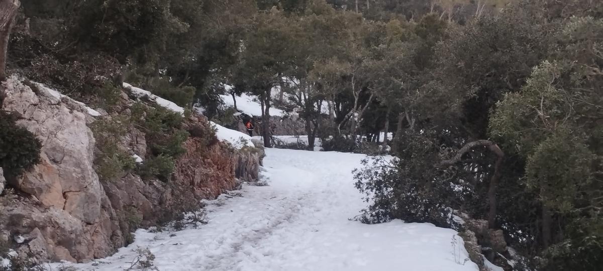FOTOS | Operativo de búsqueda de los 13 menores perdidos en la Comuna de Bunyola FOTOS | Operativo de búsqueda de los 13 menores perdidos en la Comuna de Bunyola