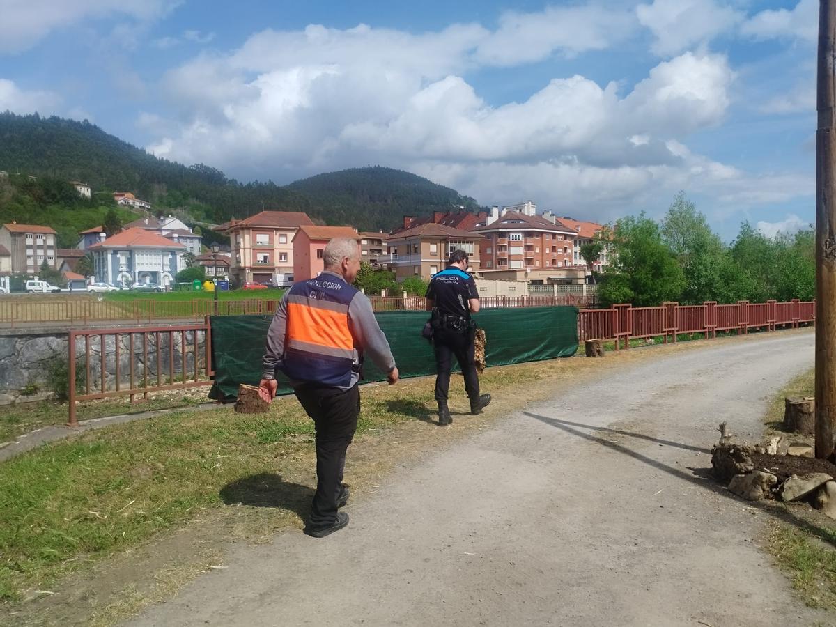 Cornellana, en Salas, se prepara para la Feria del Salmón y la subasta del campanu de Asturias