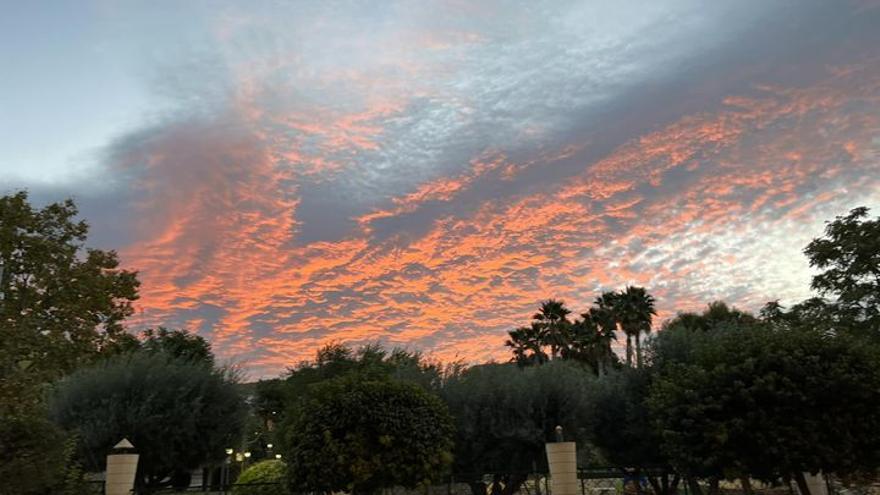 Bonito atardecer en Petrer en una imagen compartida por la alcaldesa.