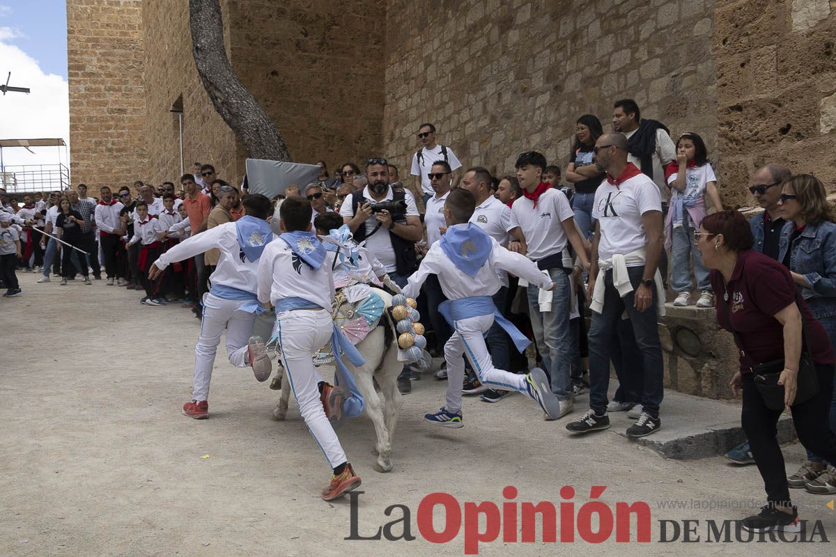 Fiestas de Caravaca | Desfile infantil del Bando de los Caballos del Vino