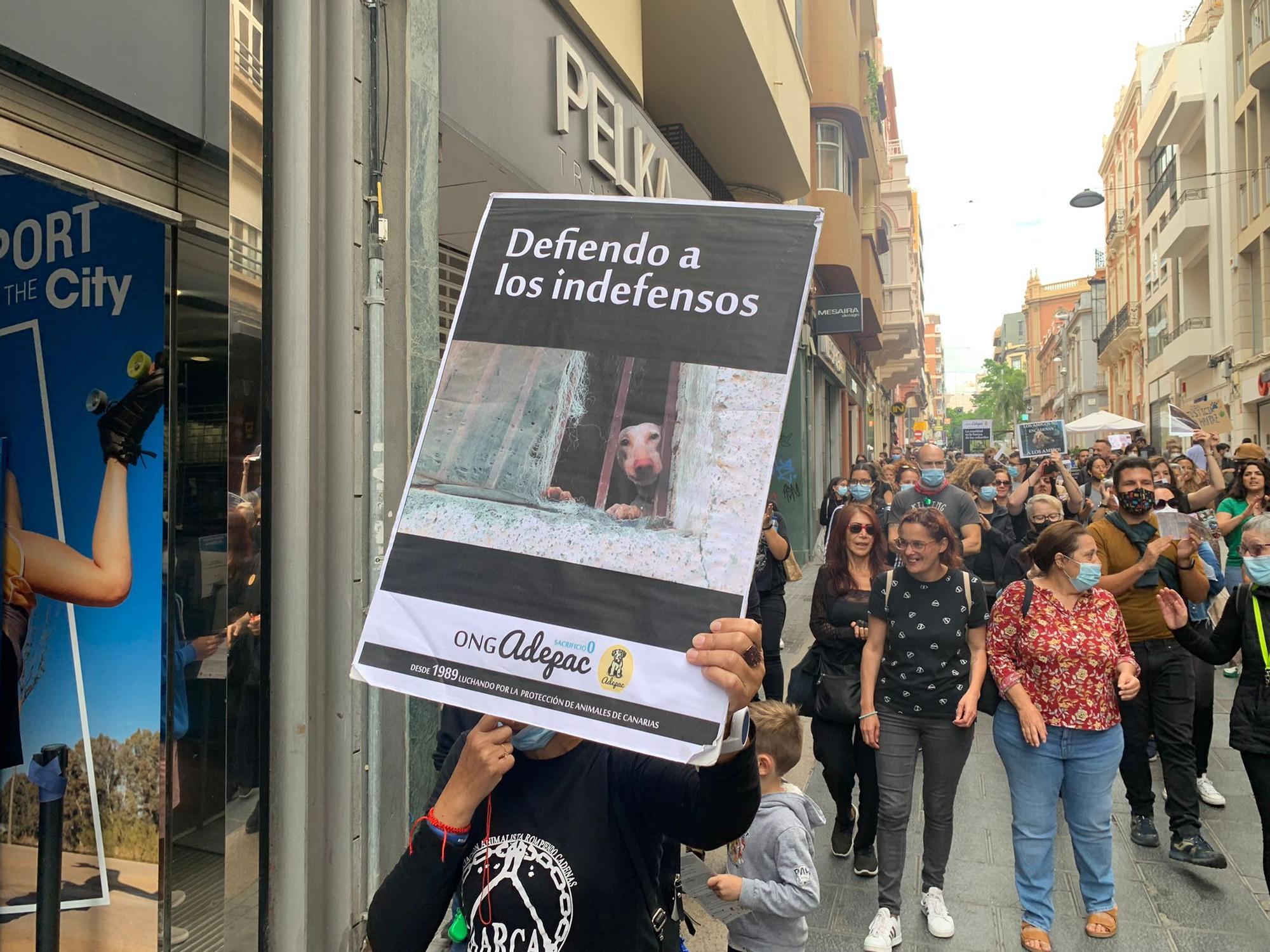 Manifestación contra el acuerdo judicial que evitará que los integrantes de la red de peleas de perros entren en prisión.