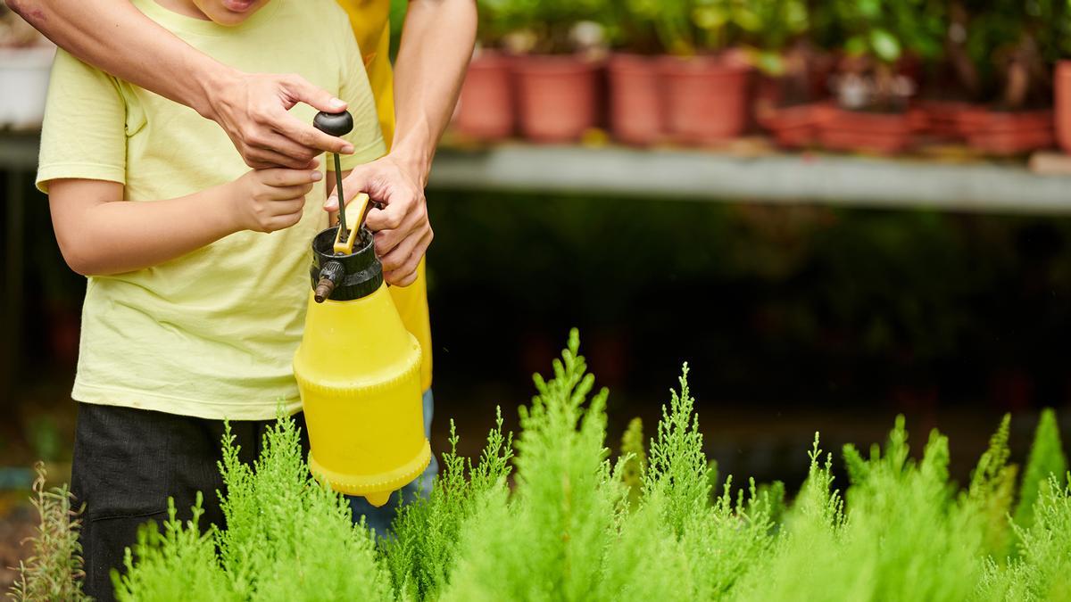 Detectados rastros de un pesticida ilegal en la orina del 60% de niños españoles