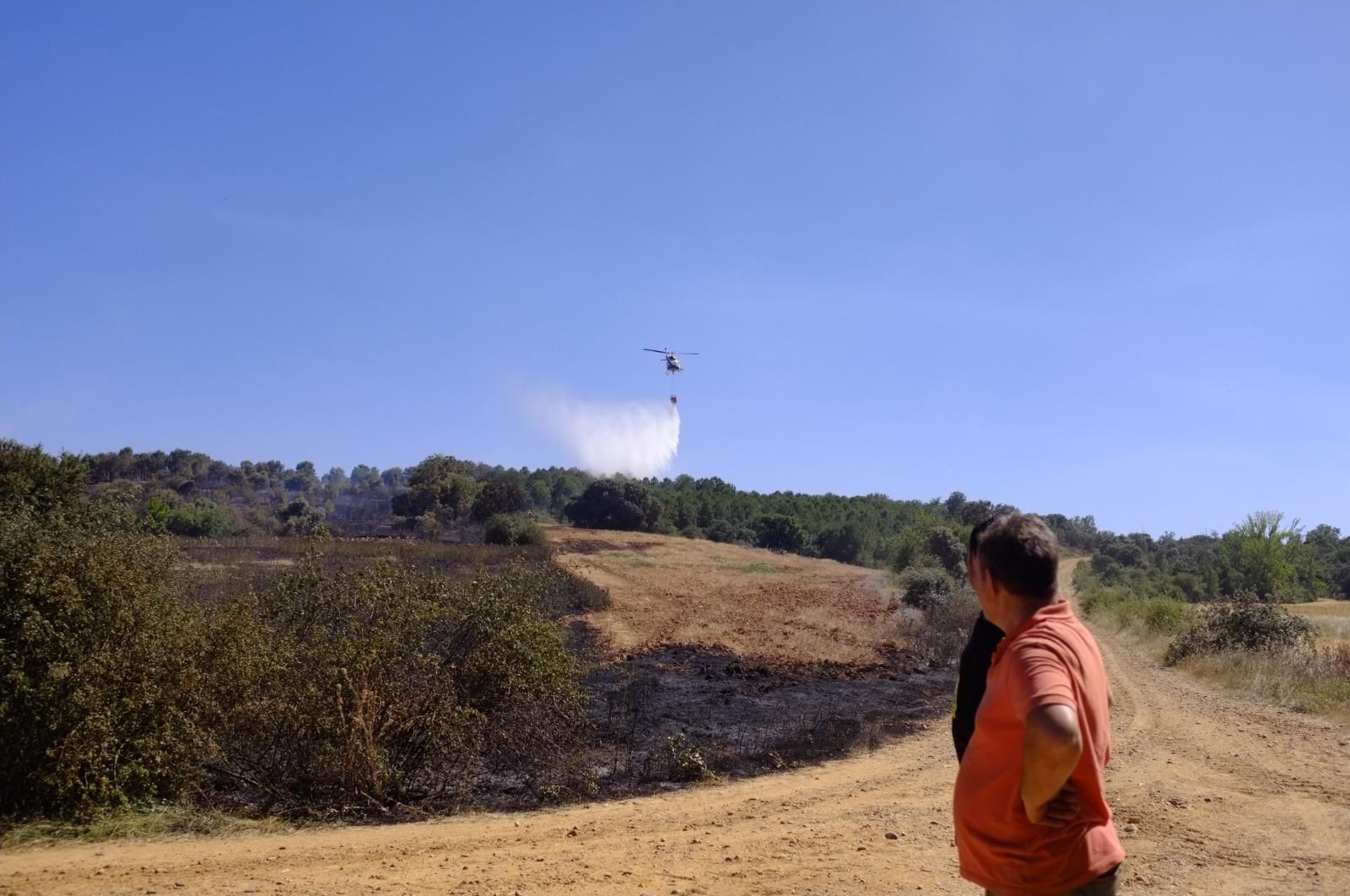 GALERÍA | El incendio forestal de Manganeses de la Polvorosa en imágenes
