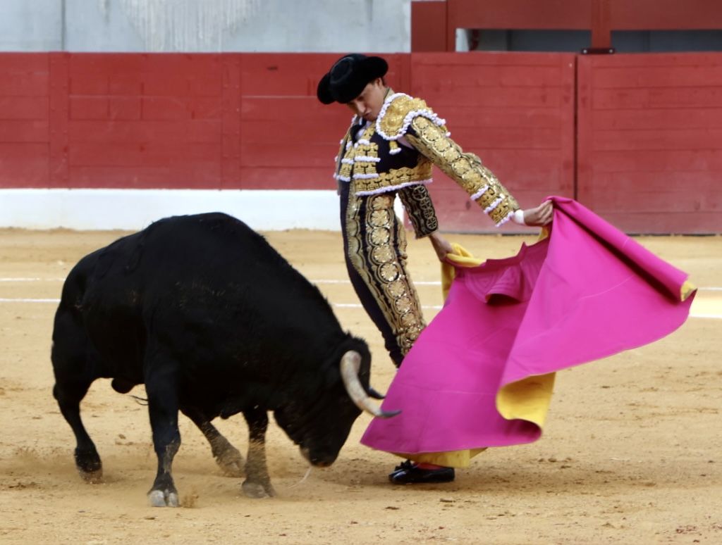 Las imágenes de la vuelta de los toros a la plaza de Villena