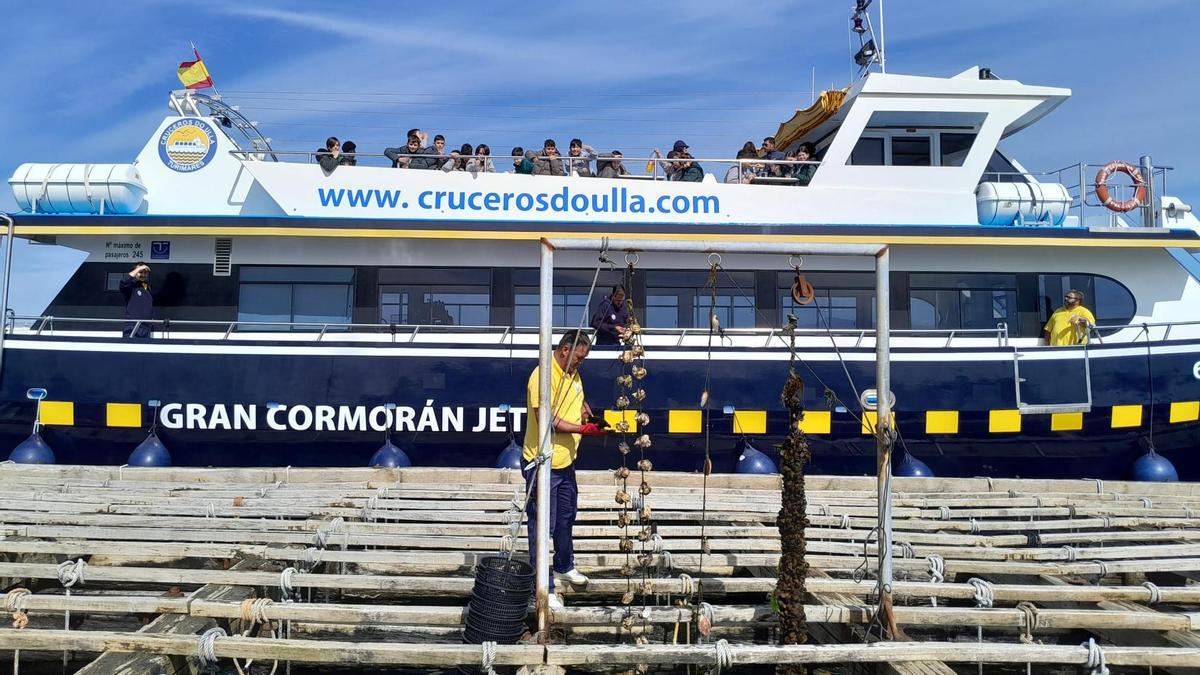 Los escolares zarparon desde O Grove en el «Gran Cormorán Jet».