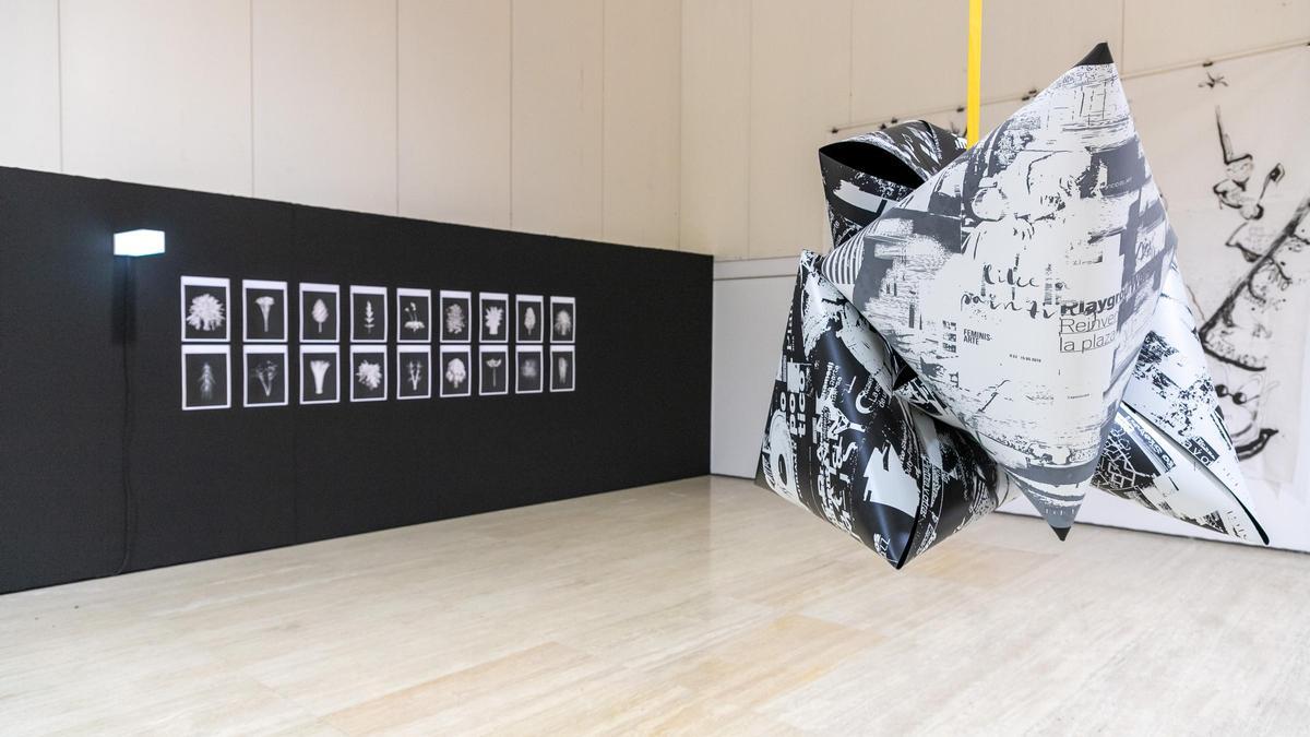 Obras de la exposición de la nueva edición de EAC en el Museo de la Universidad de Alicante