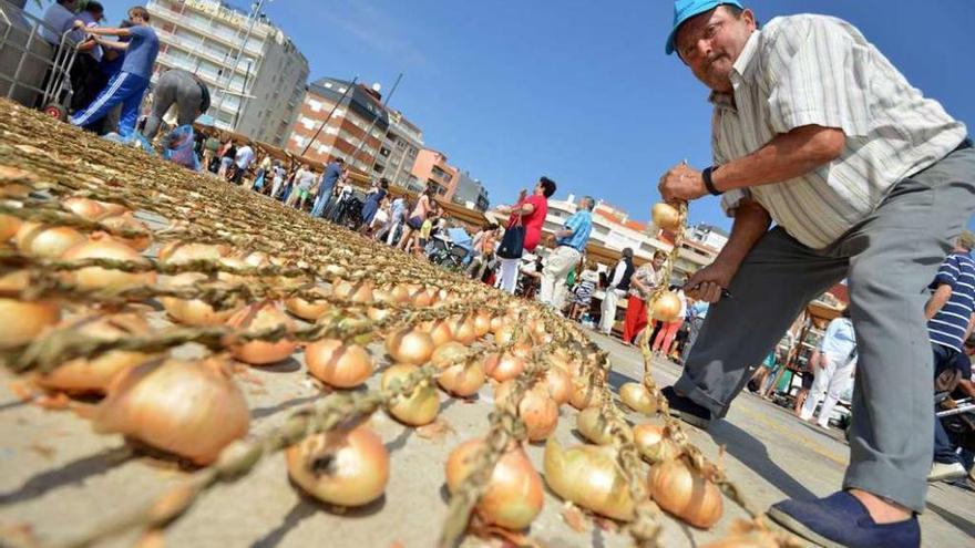 El cultivo de la cebolla reina hoy en Sanxenxo. // G. Santos