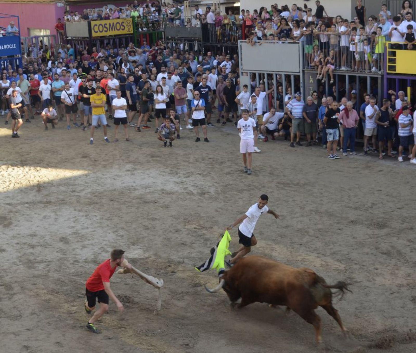 El primer día de toros atrajo a un gran número de aficionados a Moncofa. | M. Á. SÁNCHEZ