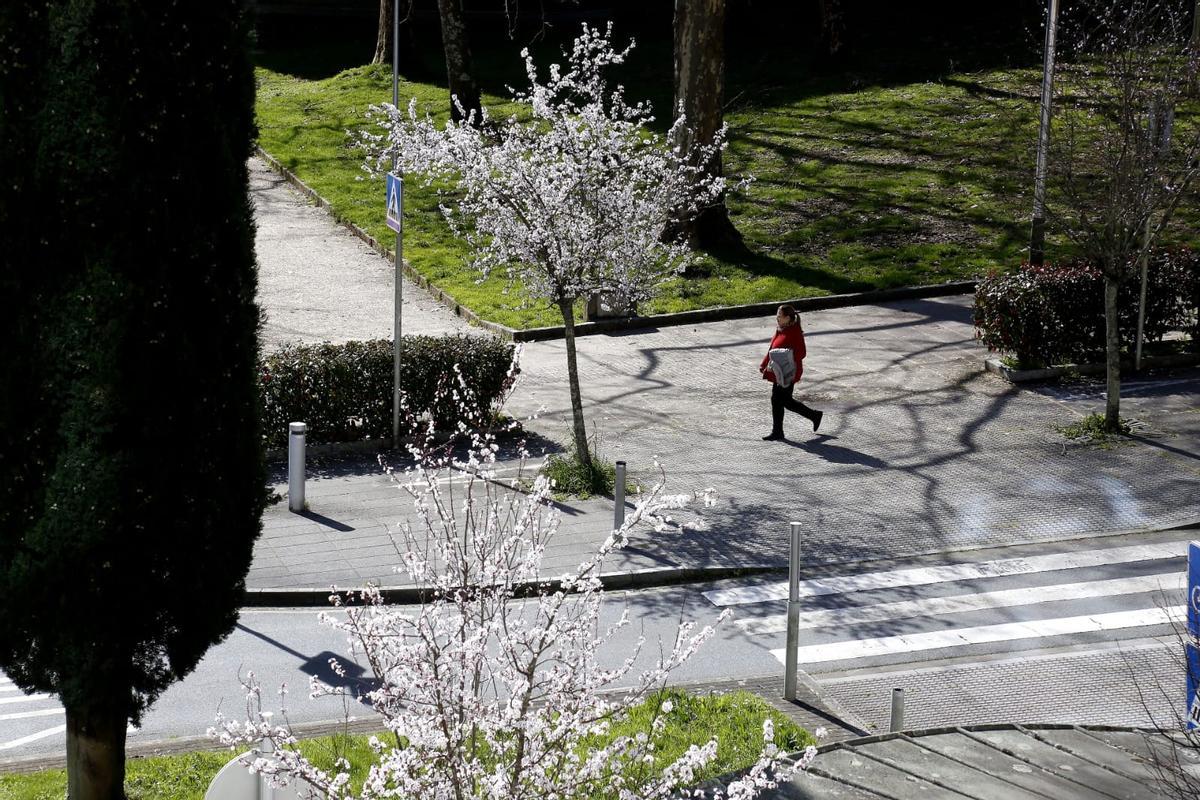 Cuando Santiago vuelve a florecer tras la lluvia