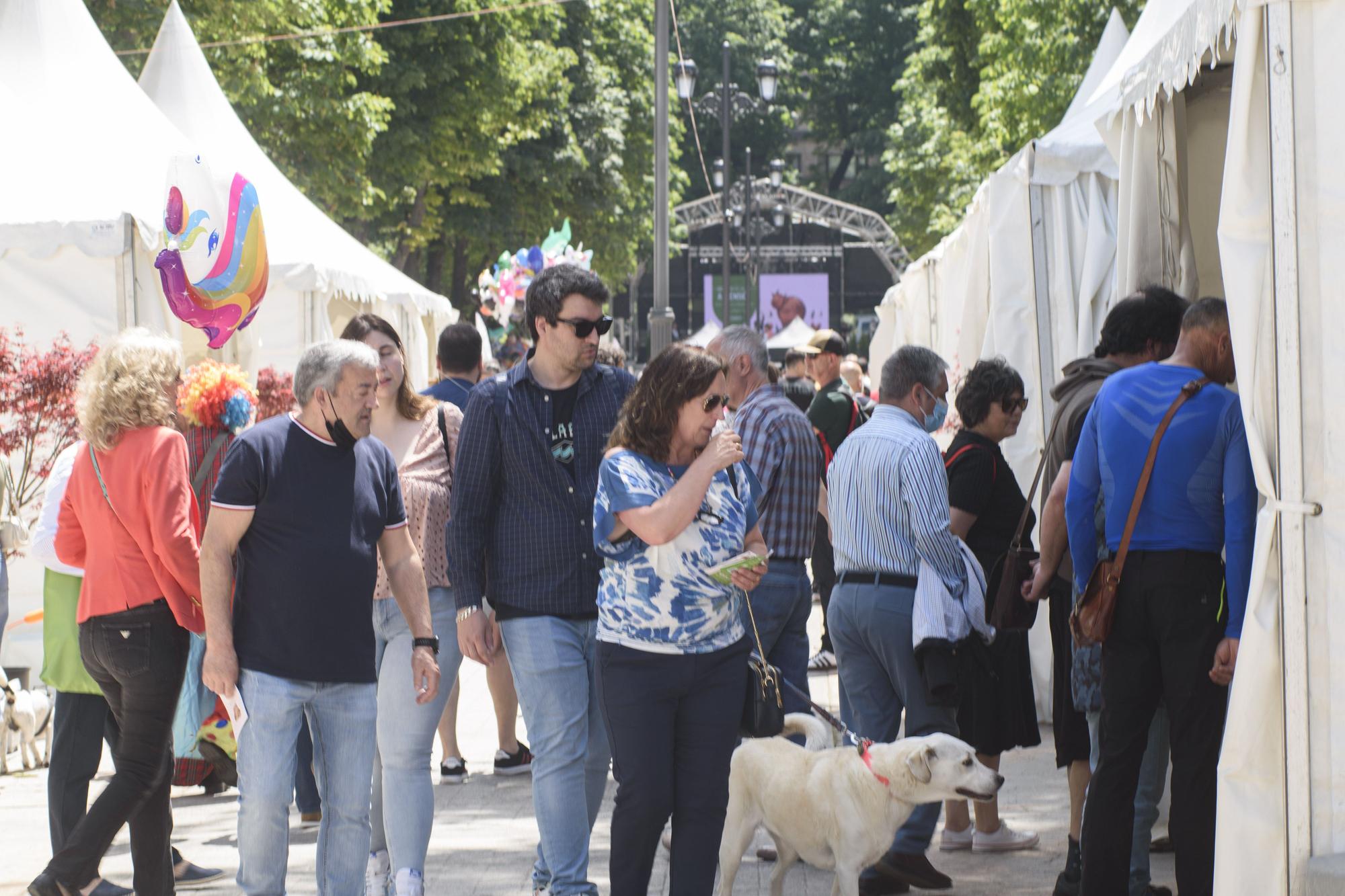 Galería de fotos: buen ambiente y sol en la celebración de la feria de la Ascensión en Oviedo