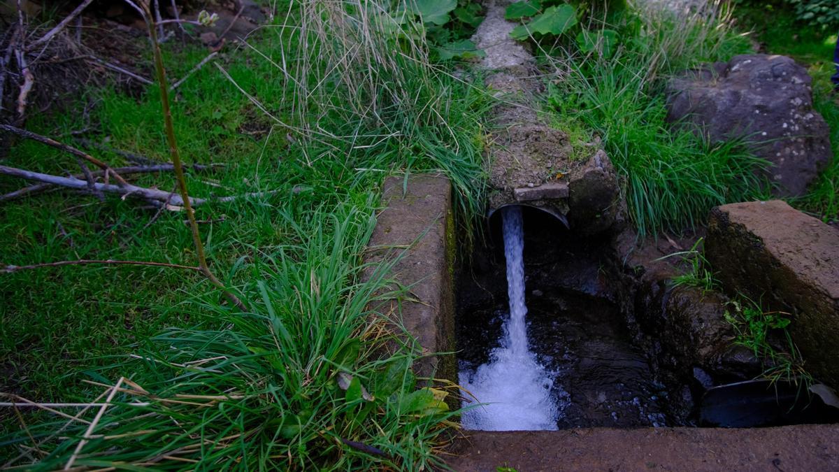 Corriente de agua en el Barranco de la Mina