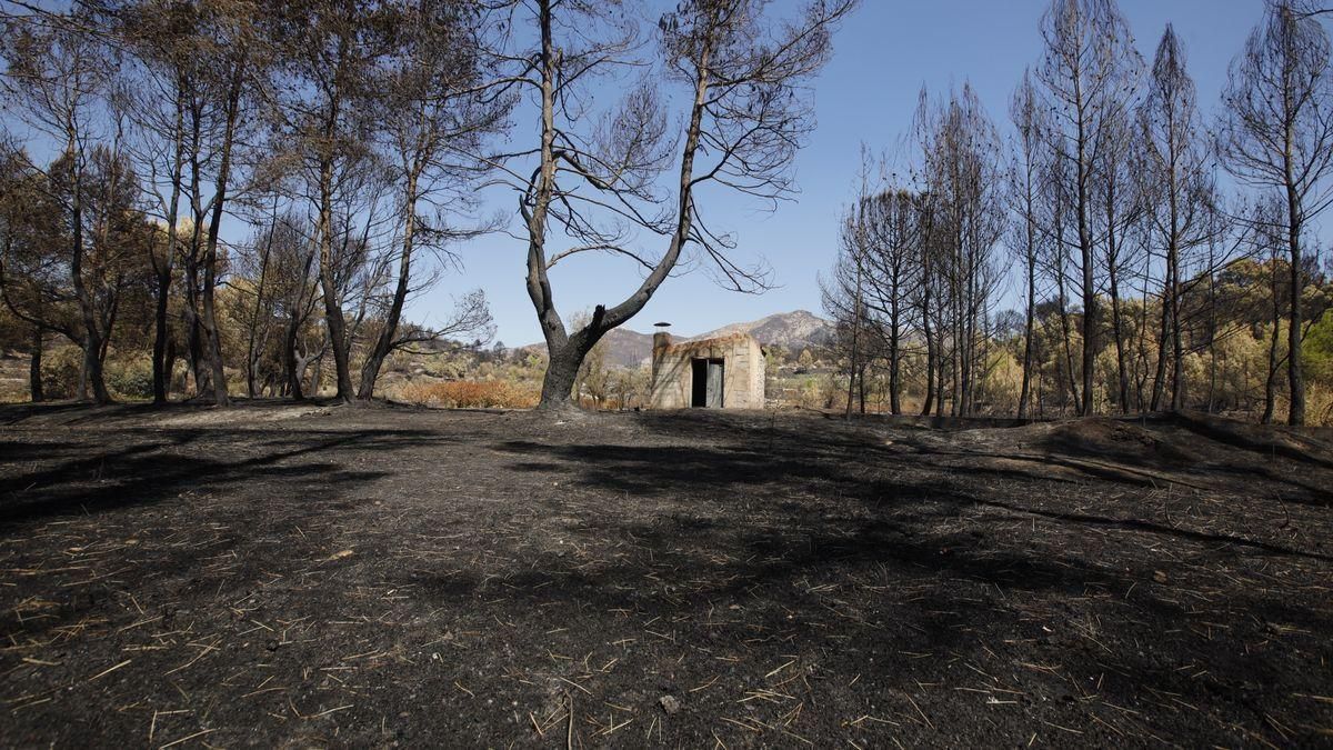 Dan por estabilizado el incendio de la Vall d'Ebo tras una noche "tranquila"