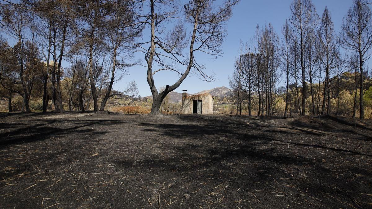 Dan por estabilizado el incendio de la Vall d&#039;Ebo tras una noche &quot;tranquila&quot;