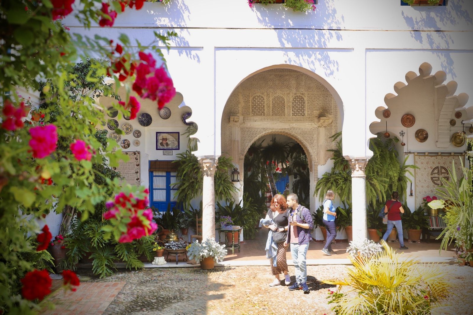 La Ruta 3 de los Patios de Córdoba, en imágenes