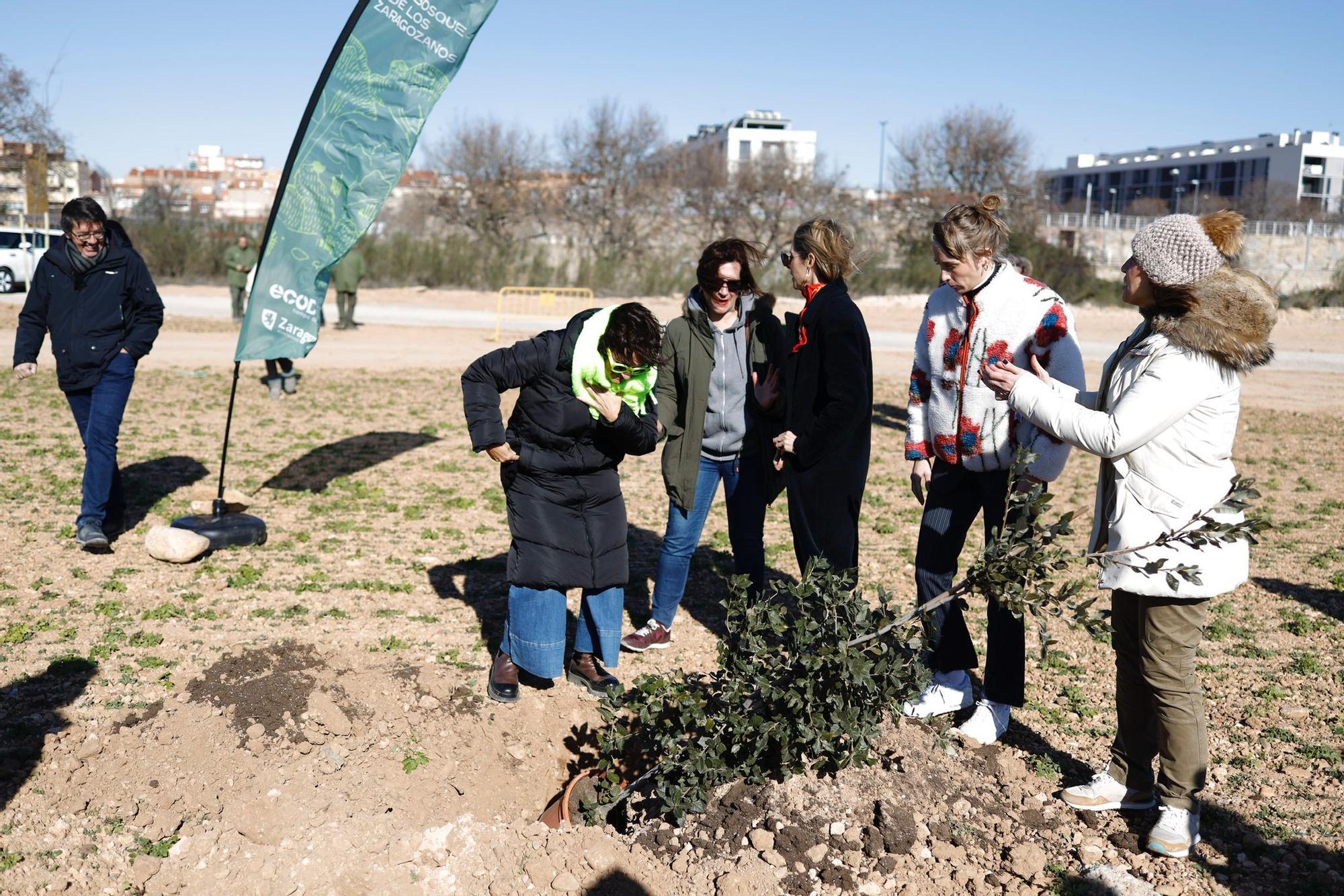 Protagonistas de los Feroz plantan árboles en el Bosque de los Zaragozanos