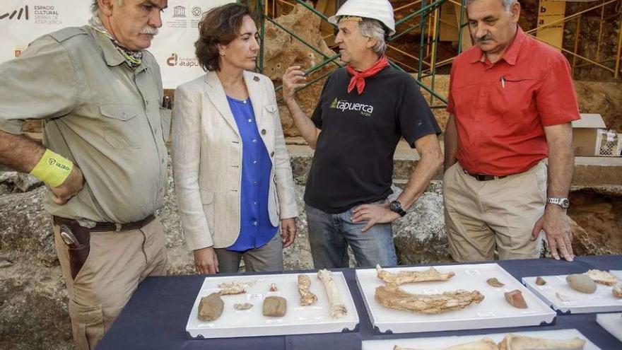 Atapuerca desentierra un cráneo de 430.000 años