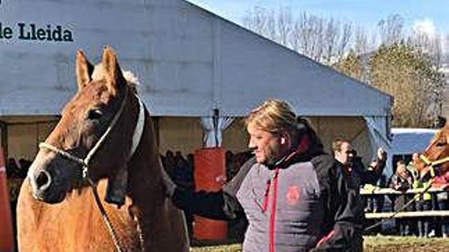 Els cavalls participants al Concurs Nacional, ahir a Puigcerdà