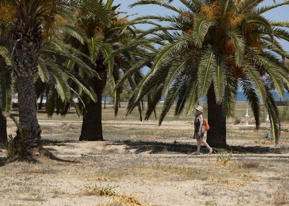 La playa del Port de Sagunt: Un inmenso arenal que no te puedes perder a menos de 30 minutos de la capital del Turia