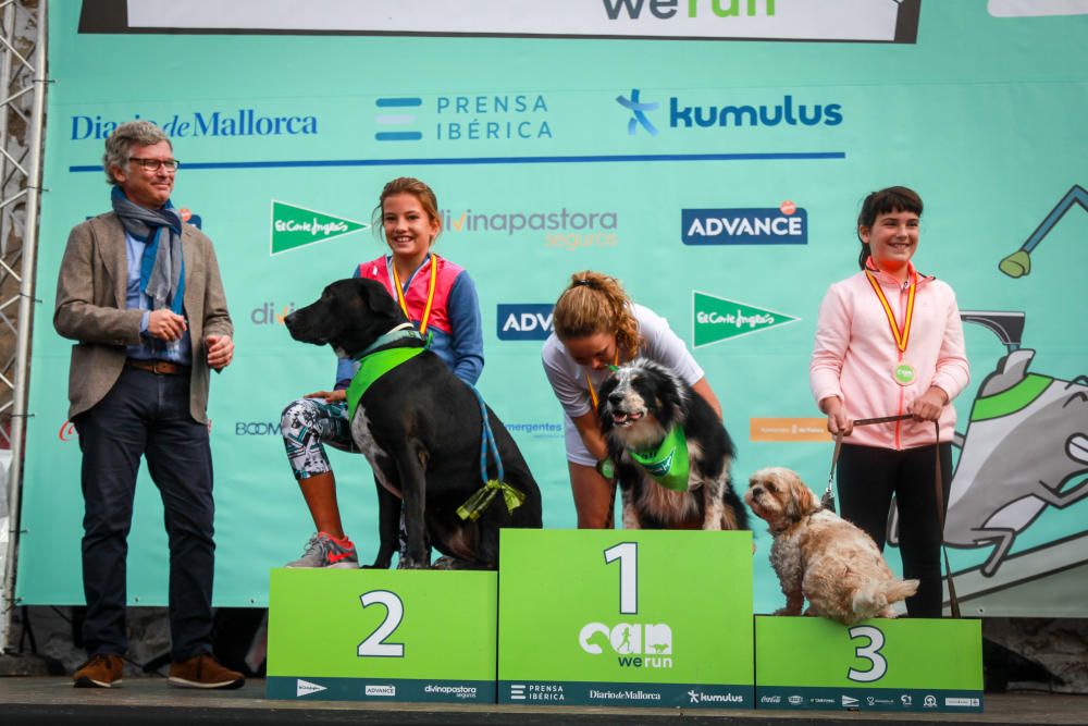 Can We Run Mallorca: So war das Hunderennen