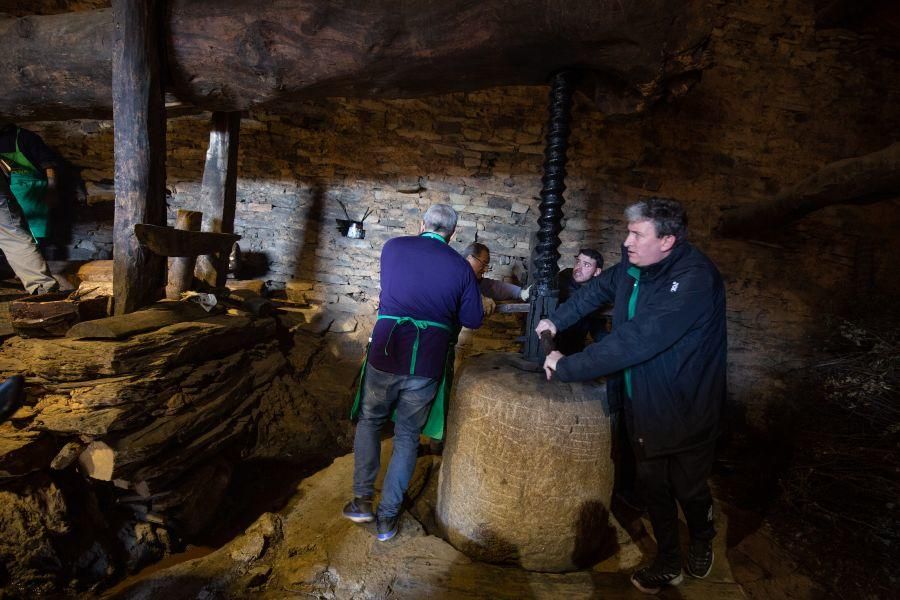 Elaboración de aceite en el molino de Latedo