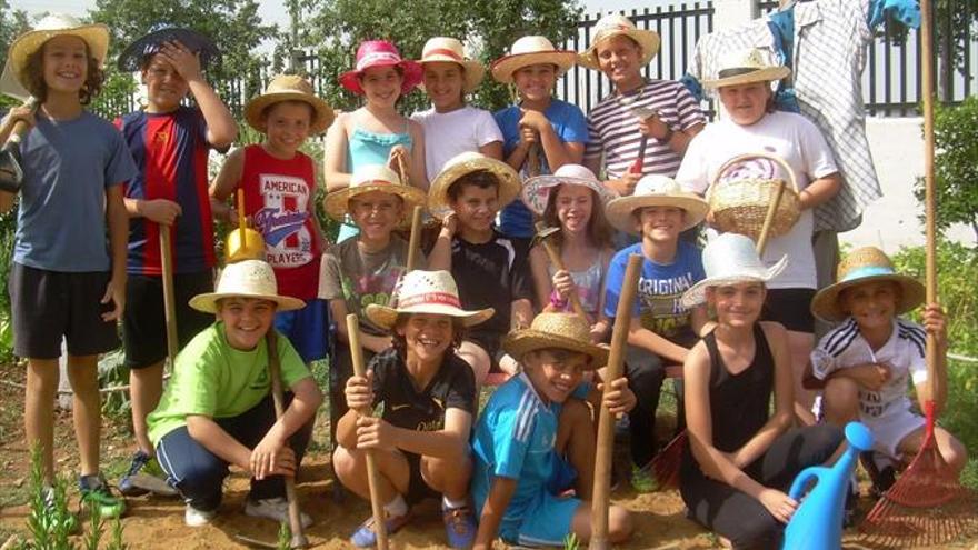 El huerto del CEIP Mirasierra, pieza clave del centro escolar