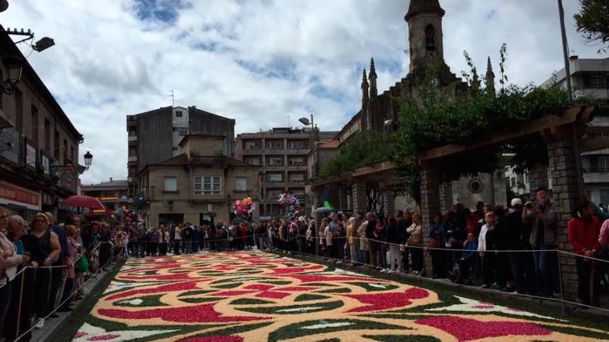 Ponteareas hace magia con las flores