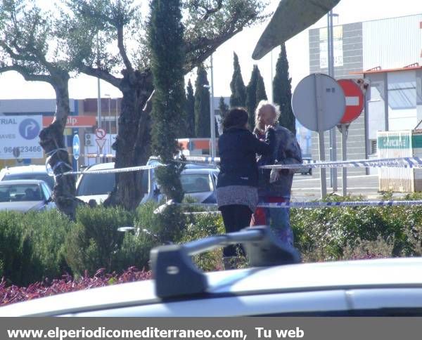 Galería de fotos: Cae la estatua de Ripolles