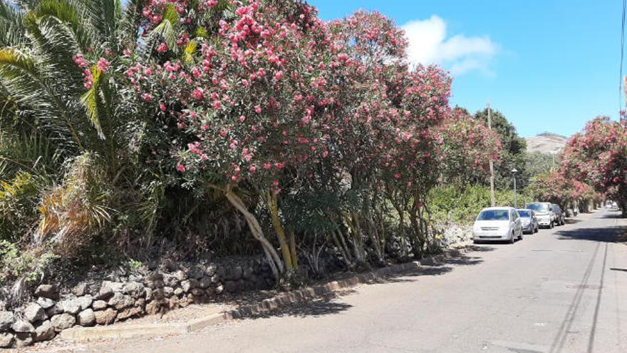 Zona de la calle San Diego en la que fue encontrado ahorcado el hombre que mantuvo una relación con la mujer asesinada en La Laguna.