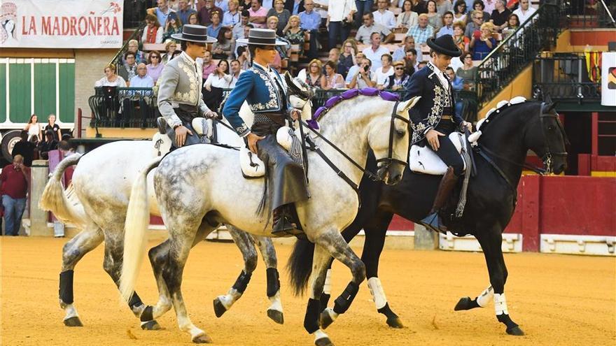 El TJSA da la razón a la DPZ, asegurando así la feria taurina del Pilar