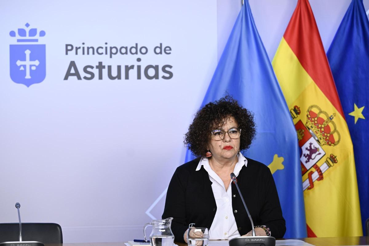 La consejera de Derechos Sociales y Bienestar, Marta del Arco.
