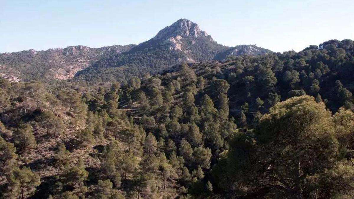 Imagen de la Sierra de la Pila murciana, a escasos diez kilómetros del límite con Alicante, entre el Medio Vinalopó y la Vega Baja