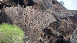 Un hallazgo arqueológico en La Palma revela un complejo ritual de los primeros pobladores de la Isla