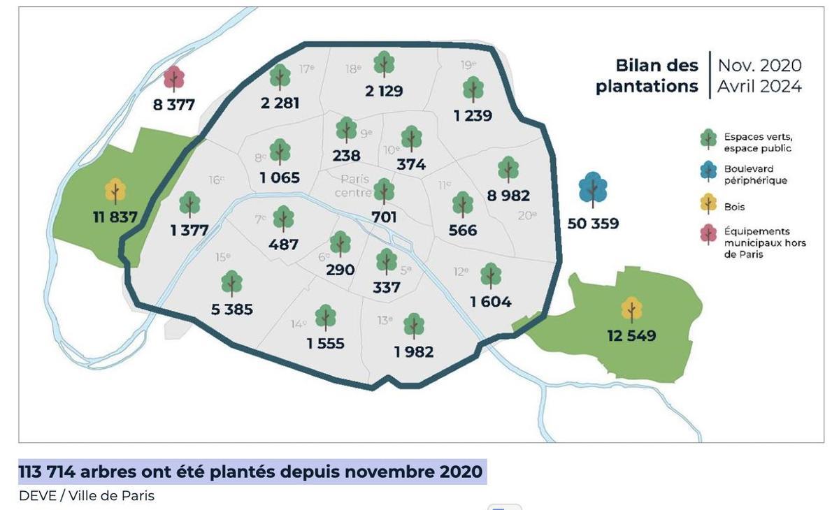 Se han plantado 113.714 árboles desde noviembre de 2020