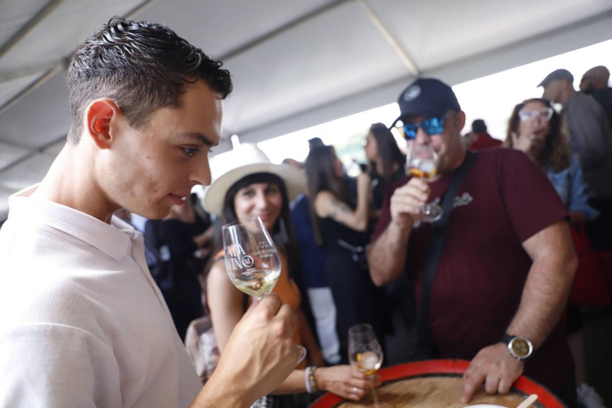 La jornada del sábado de la Cata de Vino de Córdoba