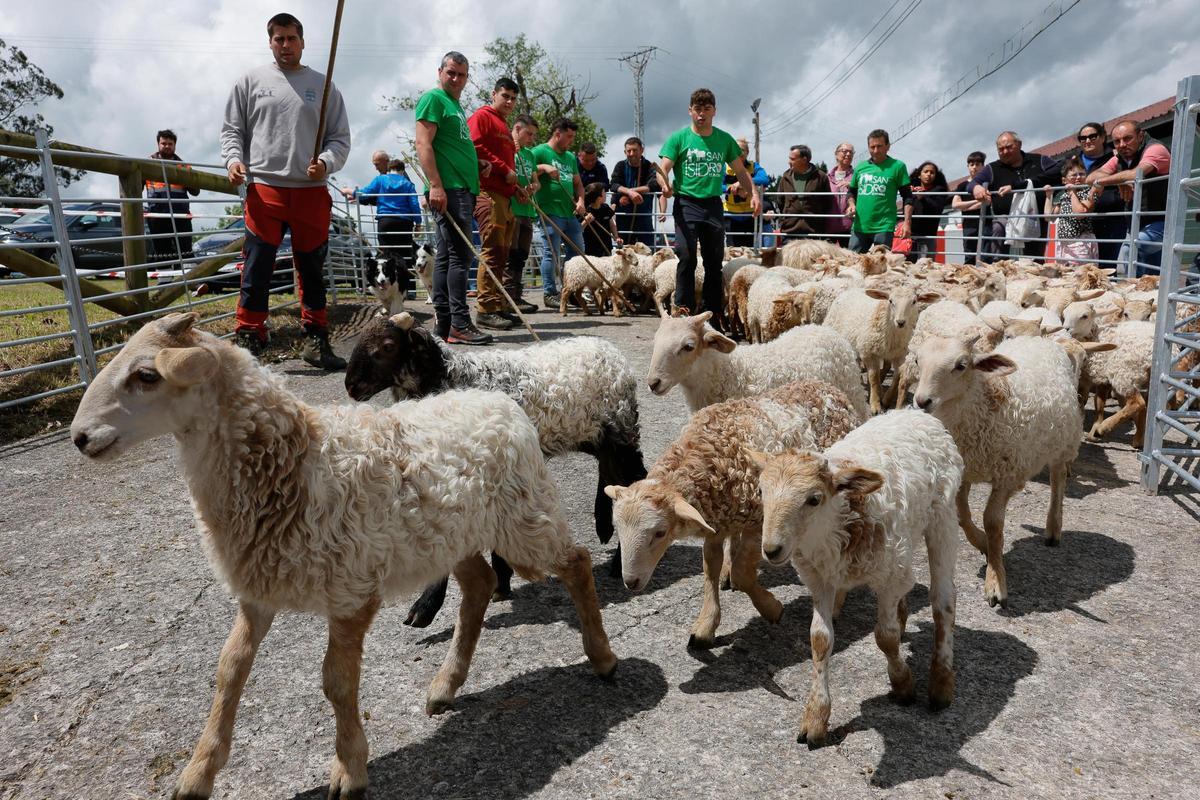 La feria de San Isidro, en imágenes