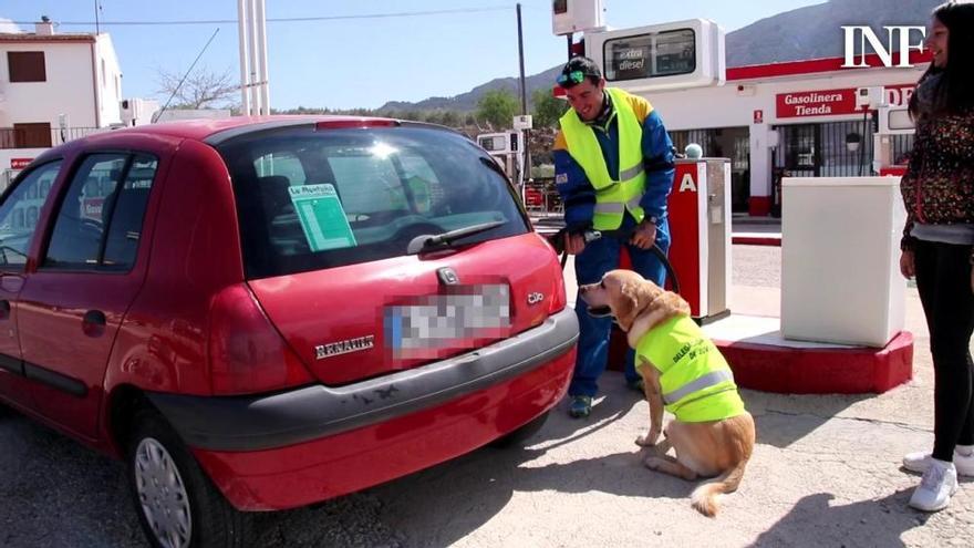 La reapertura de la gasolinera de Planes devuelve el servicio a 18 poblaciones después de seis años