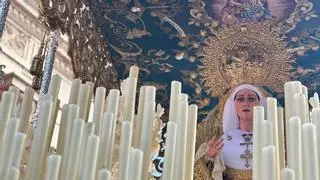 La Sed evita limitar el número de nazarenos este año: "Hemos incorporado las solicitudes online para adelantarnos"