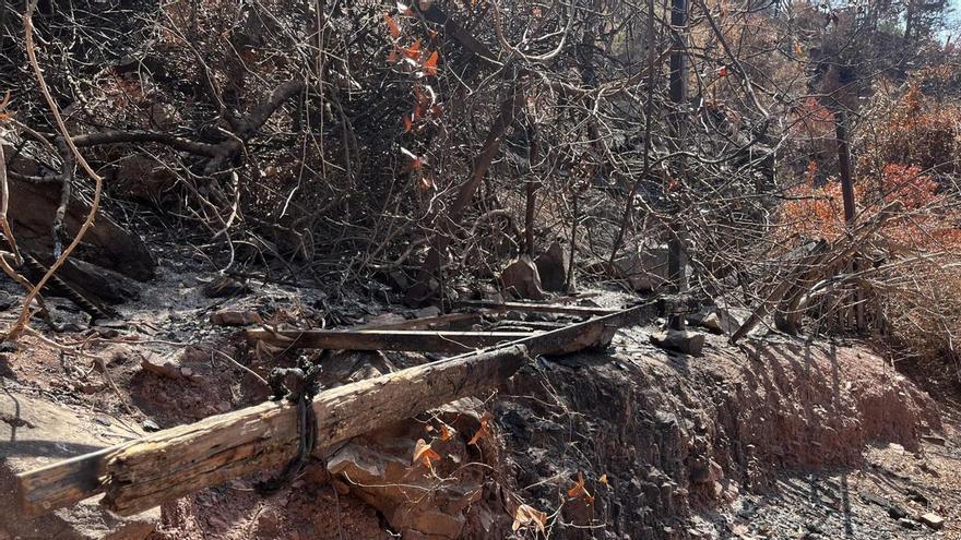 40 giorni dopo, estinto l'incendio di Vall d'Uixó