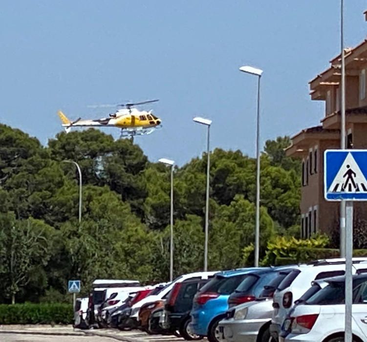 Alarma por un incendio en un bosque de la urbanización Puig de Ros, en Llucmajor