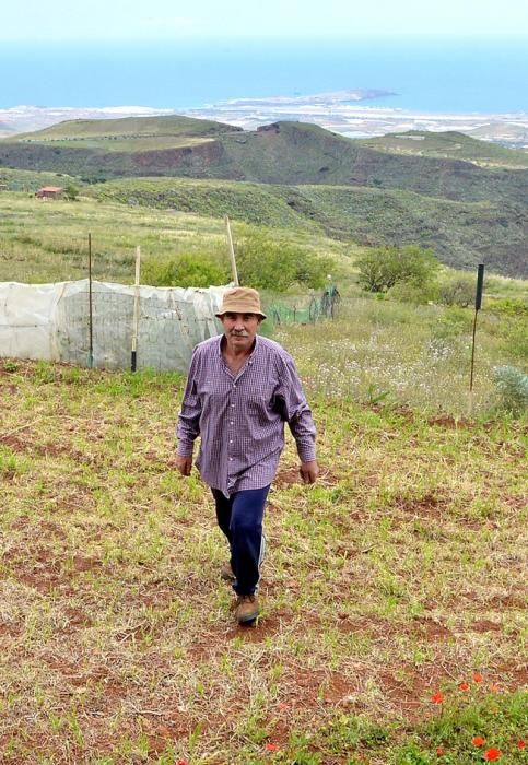 Pepe Guedes, agricultor orgánico