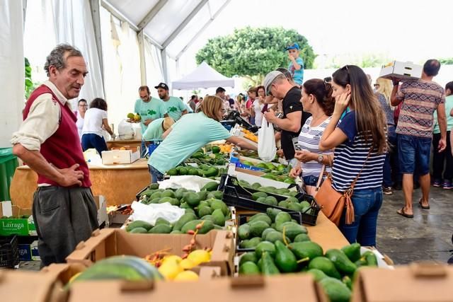 II Feria del Aguacate en Arguineguín