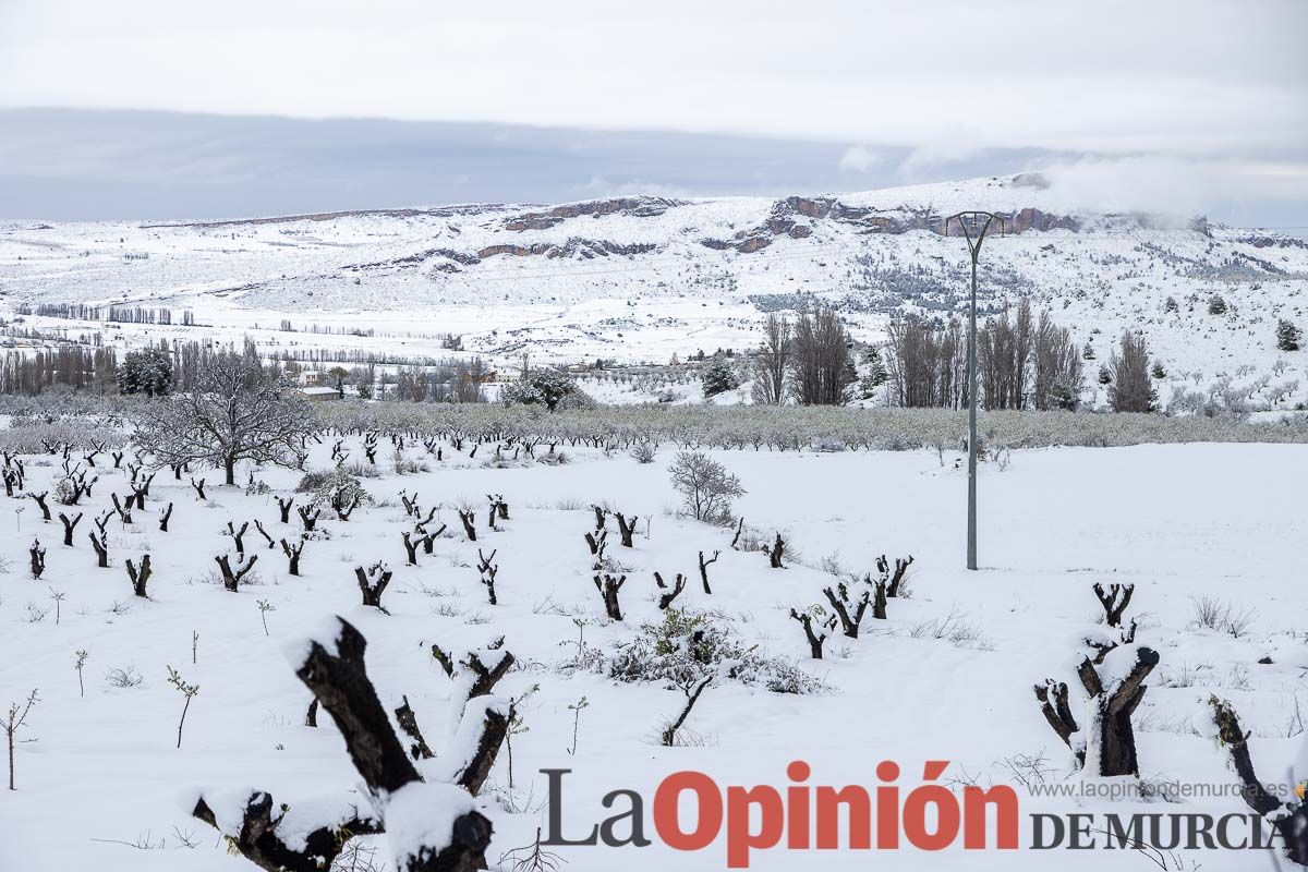 La comarca del Noroeste ofrece una estampa invernal