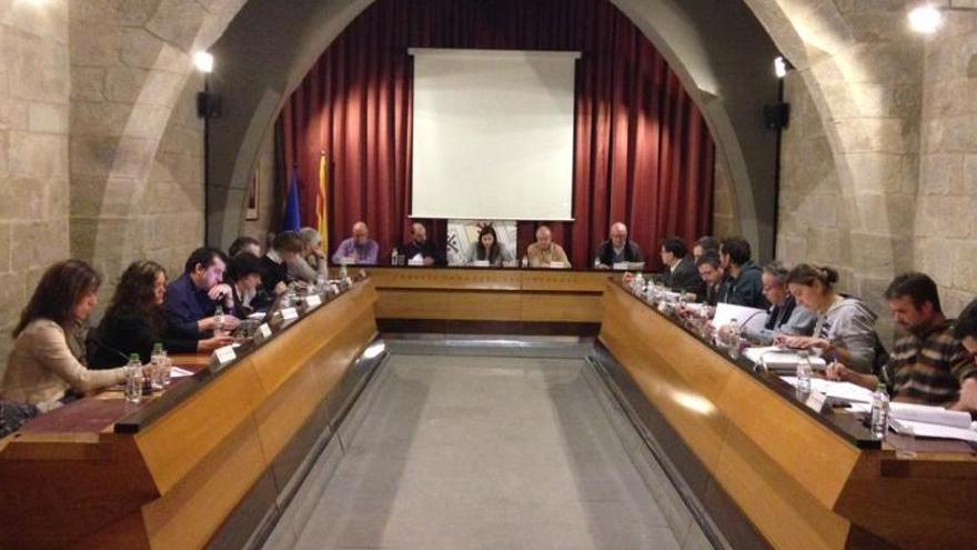 Ple del Consell Comarcal del Solsonès durant el mandat 2015-2019
