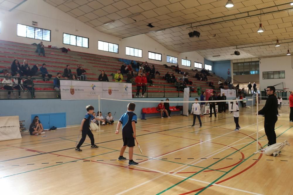 Final Regional de bádminton de Deporte Escolar