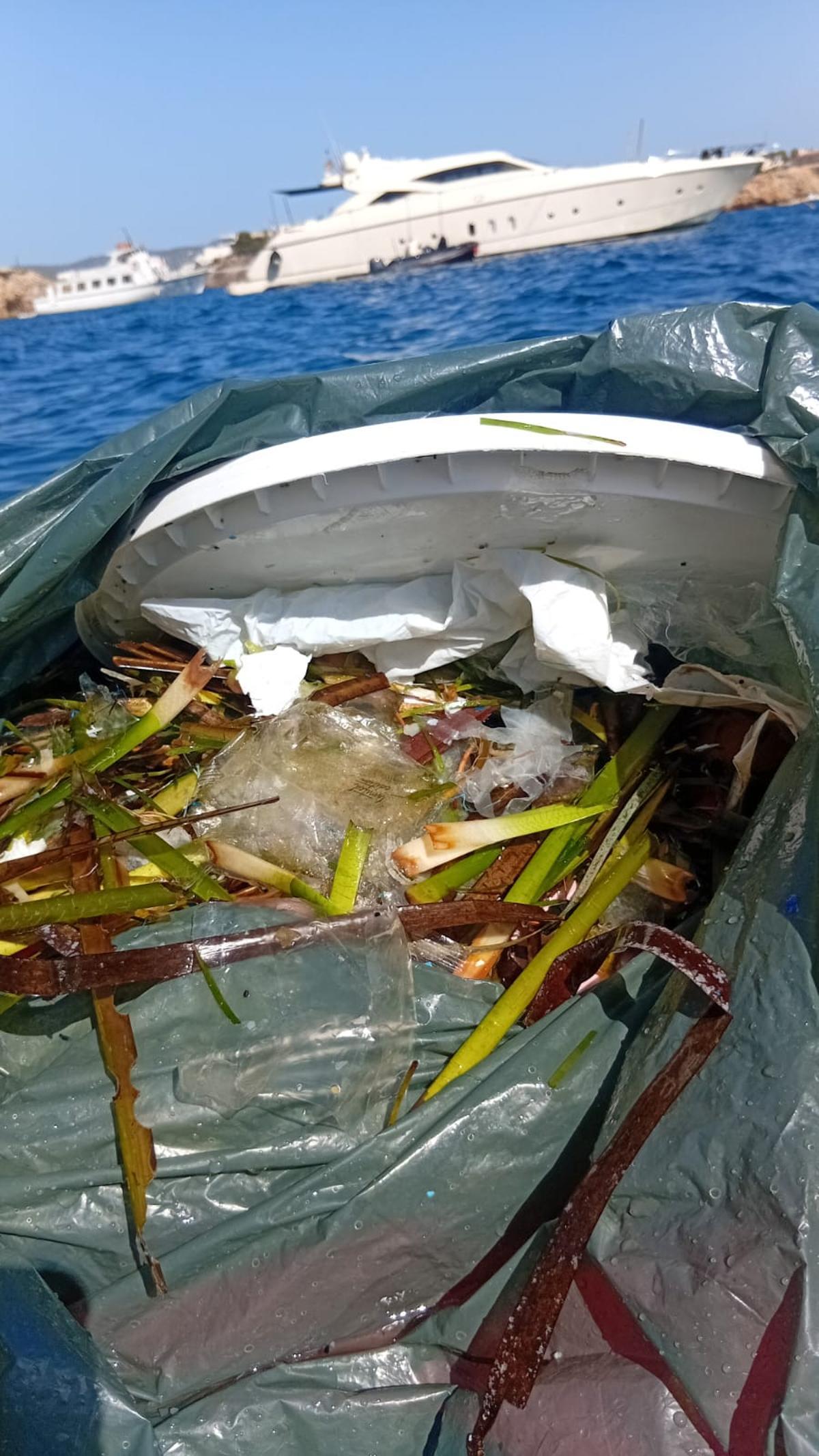 Algunos plásticos sacados del mar junto a rrstos de posidonia.