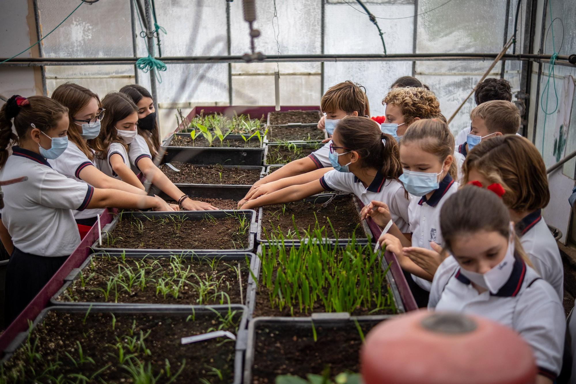 Visita a la fábrica de los jardines