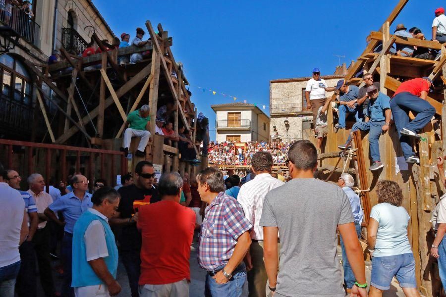 Fiestas en Zamora: Último encierro en Fermoselle